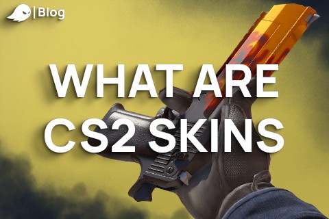 What are CS2 Skins
