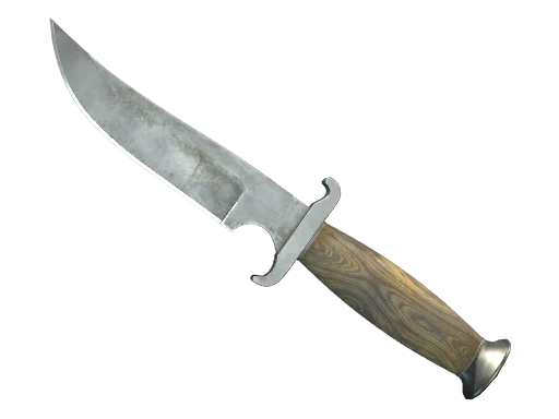 CS2 Default Knife