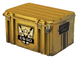 CS2 Case